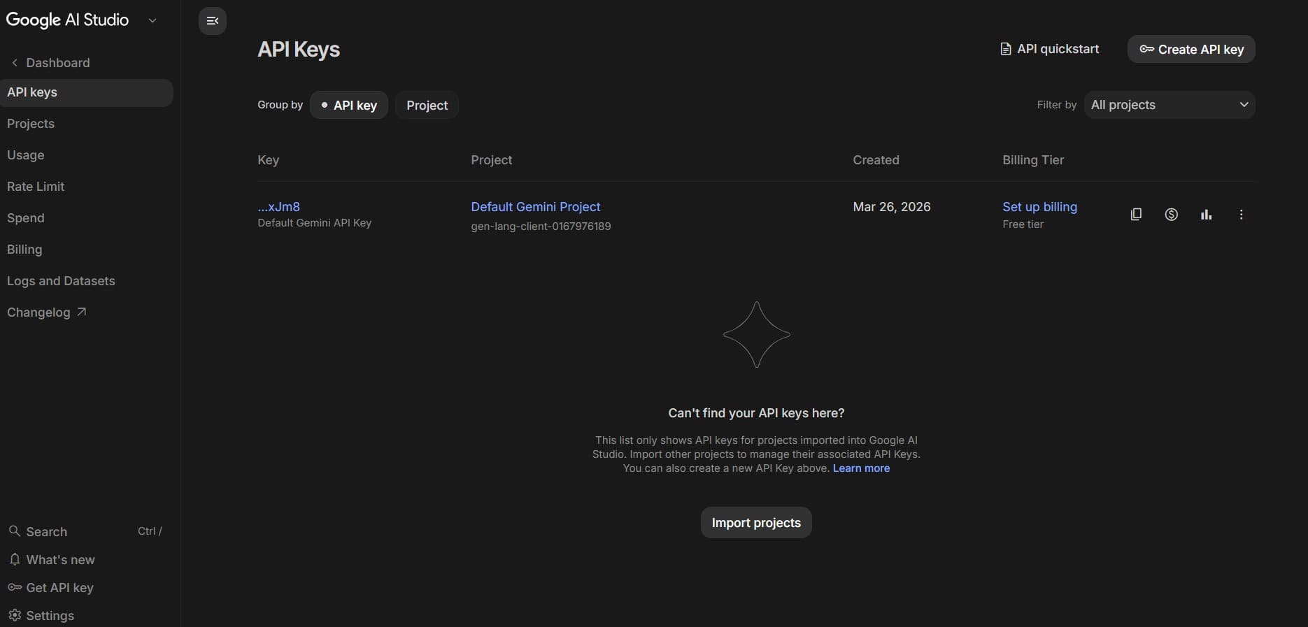Google AI Studio: API key and project selection